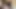 Busty Curvy Married Beauty Sneaks Away for a Wild Three Way That Escalates Into a Creampie Finale