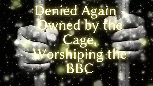 Yine reddedildi - kafese ait, büyük zenci tapıyor