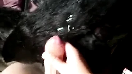 benim tavşan kürk üzerinde twinks