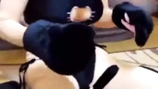 Kigurumi neko-kız kuyruğuyla oynuyor