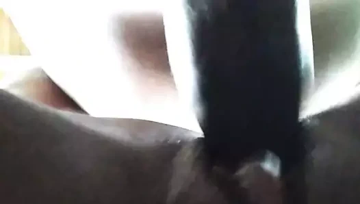 Lanet o tatlı 65yrs eski kedi