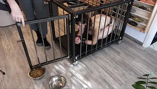 7/24 kölenin günlük hayatta kafes tutması