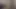 Azgın köpek yavrusu ateşli amcığını ovuyor