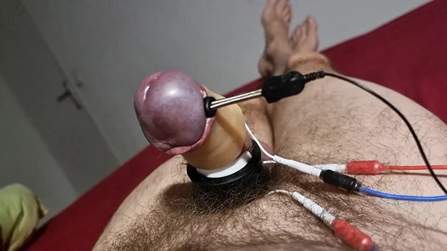 Et312 kaçan elektrikli meşe palamudu