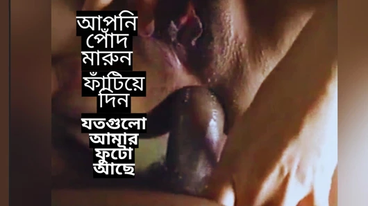 I fucked my sister in laws ass on her order.