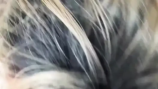 Göğüslü gösteriş