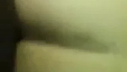 BBC üreme büyük beyaz ganimet