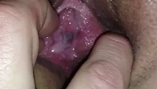 Eski eşleri muhteşem şişman kedi