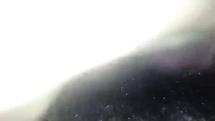 Tatlı cuties göt becerdin