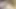 Seksi esmer ıslak amına dildo sokuyor