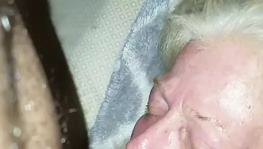 Yeme olgun tatlı beyaz kedi