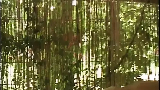 Casella post 19 (tam film)