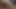 Sade qos onu küçücük subincised clitty ve boşalmak masturbates