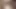 Gf pov sert vurma