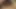 Ateşli kız arkadaş oral seks yaparken dildoyla sikiliyor