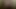 Bbc vurma Asya kedi