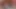 Güzel Nepalli kadın porno oyuncu seçmelerinde uzun yarakla sikiliyor