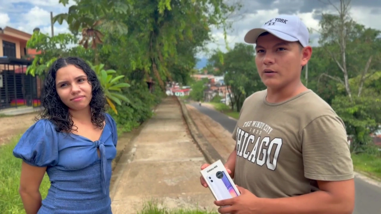 While doing a market in the street, they accidentally fell into our yards.