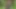 Islak kıllı amcık dildo tarafından parçalandı