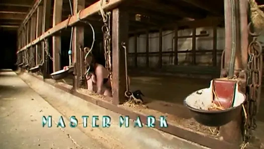 Bağlı Sarışın Yoğun BDSM Üçlü Sekse Boyun Eğiyor