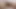 Lelu Love-Sex Ed Vulva Closeups