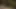 Havuzda iki tutkulu lezbiyen kedi yalıyor!