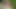 Maya kapıları çift penetrasyon alır
