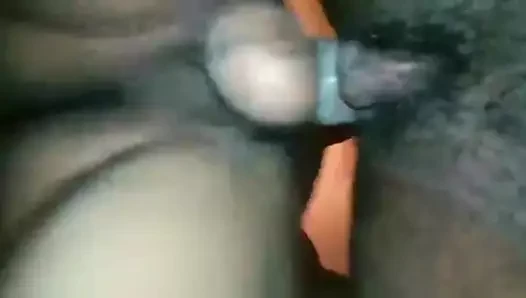 Kedi katil 2