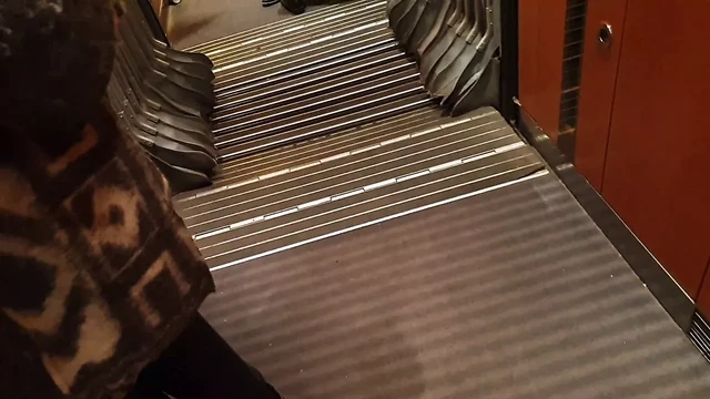 Auf der Zug Toilette eine Traperin gefickt