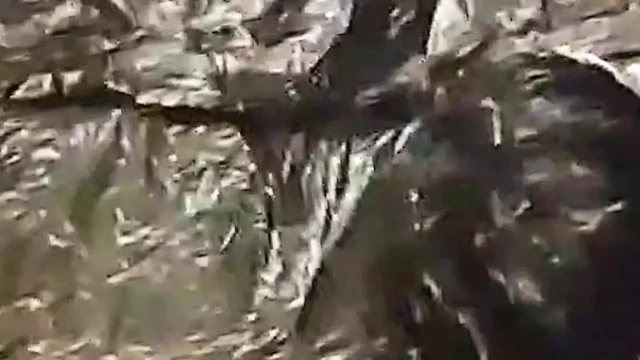 Sadece mina ve the boşalmak