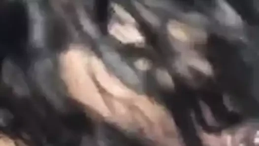 pt. 3