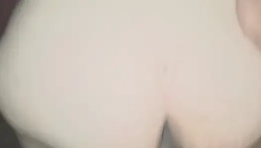 of a puppy