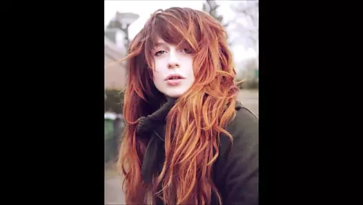 Değerli zencefil 1590