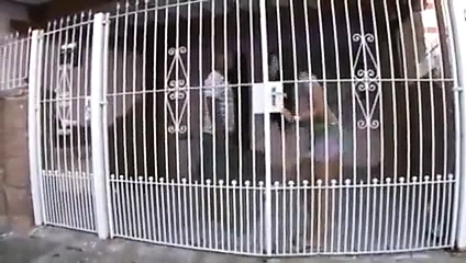 Brezilya'nın kuzeydoğusundaki en seksi esmer