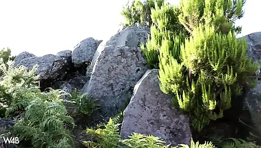 Sapphira'nın işeme efsanesi ii