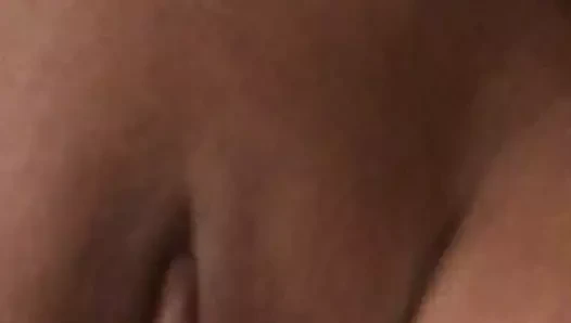 Kelly cep kedi ve horoz ile dolu