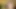 Edepsiz yarak seven sürtük kırmızı yatakta dölleniyor