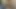 Korkak olduğunu her zaman aç için raw horoz