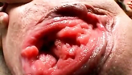 İri ve anormal yaylı kedi