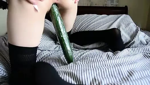 kedi içinde salatalık