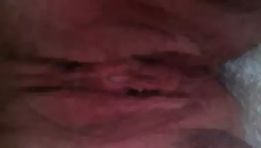 tombul gösteri KEDİ