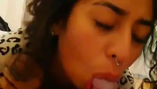 Chica Celeste göt yalıyor ve yarak emiyor