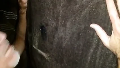 1 beyaz delik ve bir sürü bbc