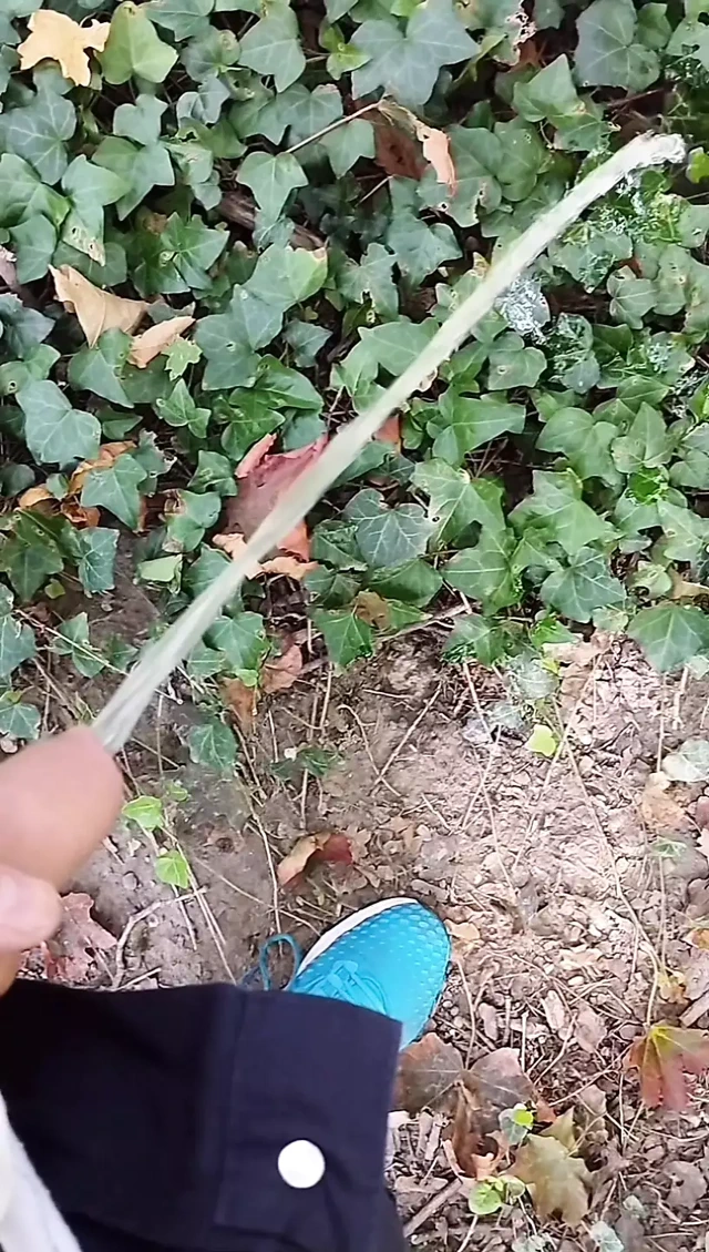 İstekler için işiyor ve sonunda boşalıyor