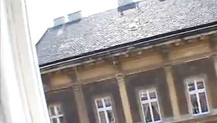 Budapeşte'de bir kedi vs iki musluklar