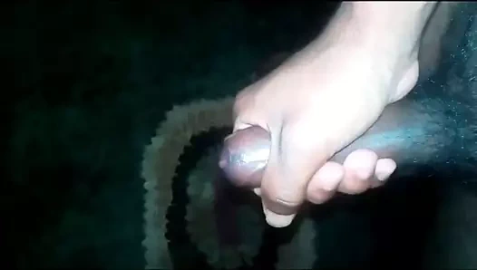 Sri lanka sinhala okul çocuğu athe gahanawa