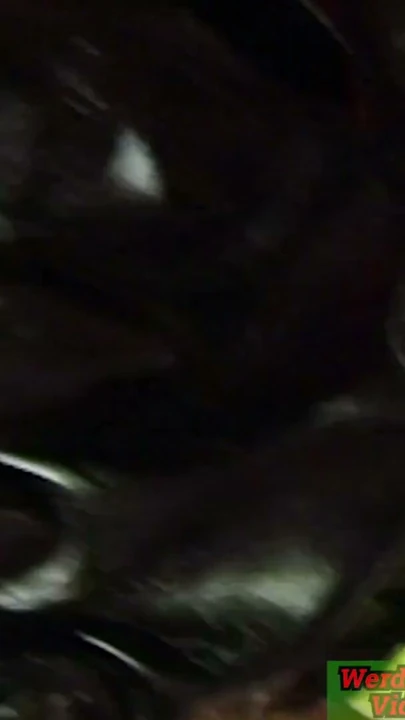 Esmer fetiş milf içinde lateks var bdsm seks | Klip 2
