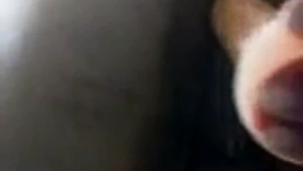 Delicia de cuzinho