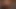 POV Blowjob #12 -Vanessa 2016