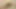 Ateşli ve seksi genç lezbiyenler birbirlerinin amını yalıyor